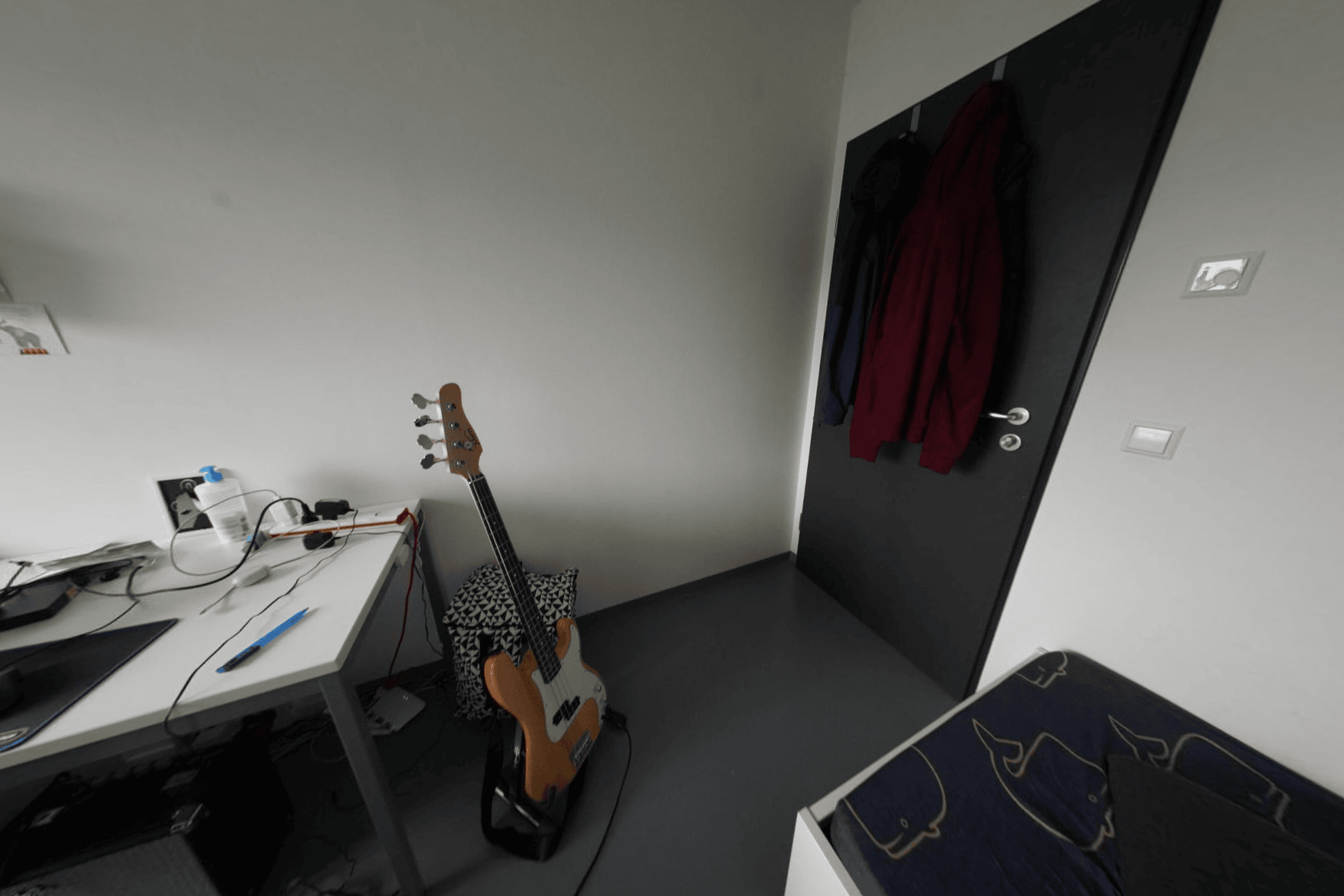 Egocentric RGB input