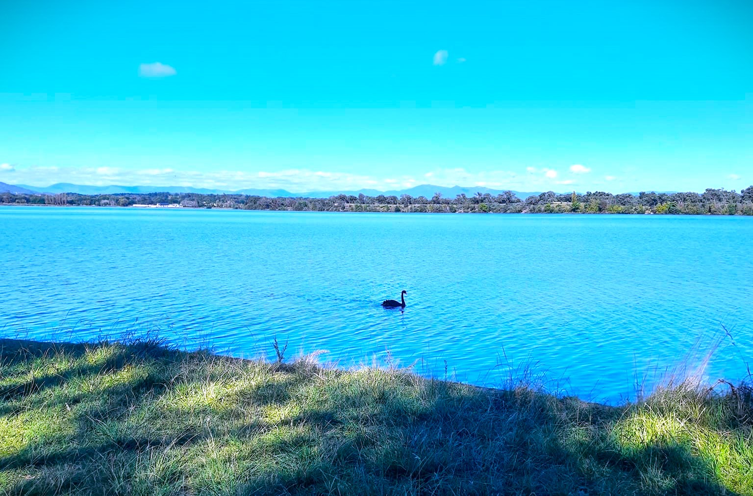 Lake Burley Griffin